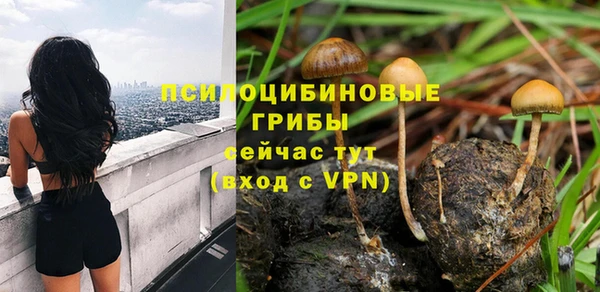 гашик Абдулино