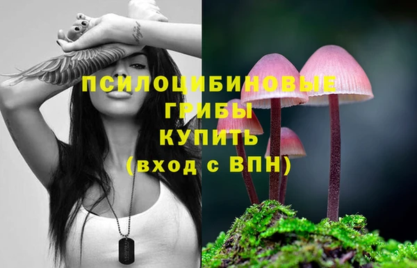 каннабис Алексин